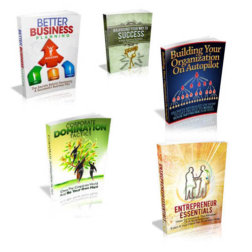 Product picture 5 MRR Business products BUNDLED + SALE = Only $2.99